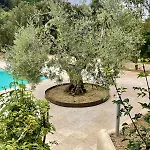 Casina Di Adele Apartamento