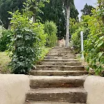 Apartamento Casina Di Adele