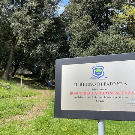 Casina Di Adele Apartamento *